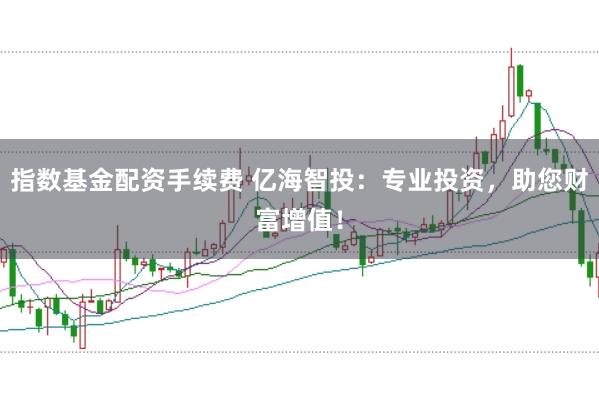 指数基金配资手续费 亿海智投：专业投资，助您财富增值！