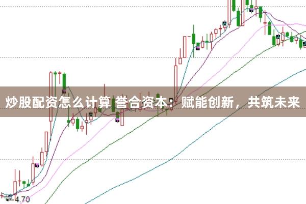 炒股配资怎么计算 誉合资本:赋能创新,共筑未来