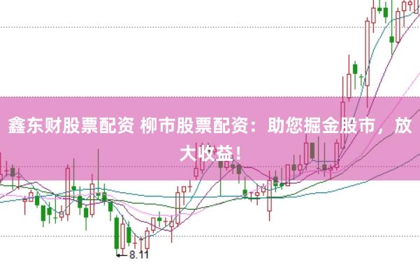 鑫东财股票配资 柳市股票配资:助您掘金股市,放大收益!