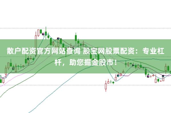 散户配资官方网站查询 股宝网股票配资:专业杠杆,助您掘金股市!