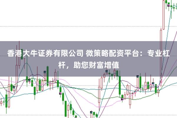 香港大牛证券有限公司 微策略配资平台:专业杠杆,助您财富增值