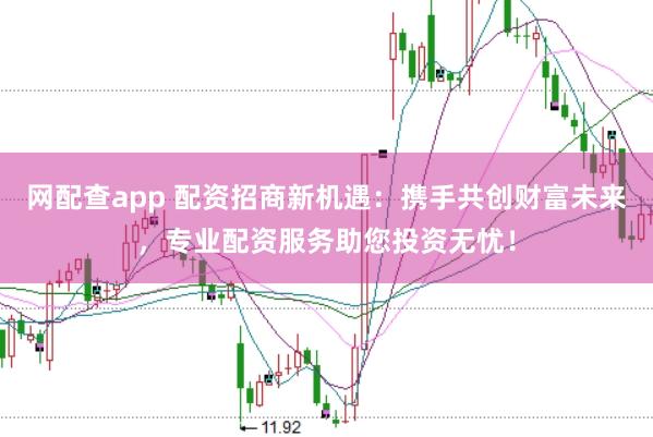 网配查app 配资招商新机遇:携手共创财富未来,专业配资服务助您投资无忧!