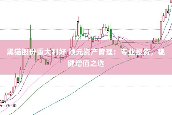 黑猫股份重大利好 颂元资产管理:专业投资,稳健增值之选