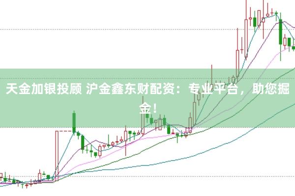 天金加银投顾 沪金鑫东财配资:专业平台,助您掘金!