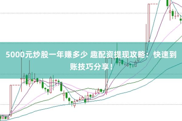 5000元炒股一年赚多少 趣配资提现攻略：快速到账技巧分享！
