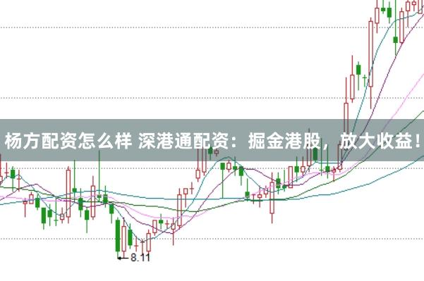 杨方配资怎么样 深港通配资：掘金港股，放大收益！