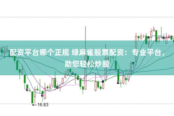 配资平台哪个正规 绿麻雀股票配资：专业平台，助您轻松炒股