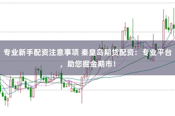 专业新手配资注意事项 秦皇岛期货配资：专业平台，助您掘金期市！