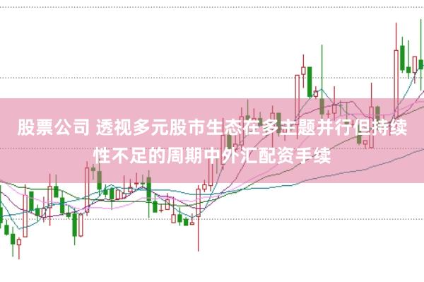 股票公司 透视多元股市生态在多主题并行但持续性不足的周期中外汇配资手续