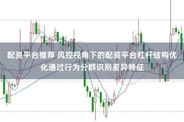 配资平台推荐 风控视角下的配资平台杠杆结构优化通过行为分群识别差异特征