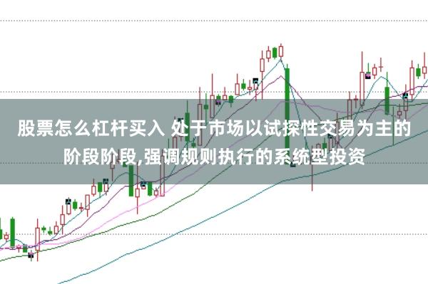 股票怎么杠杆买入 处于市场以试探性交易为主的阶段阶段，强调规则执行的系统型投资