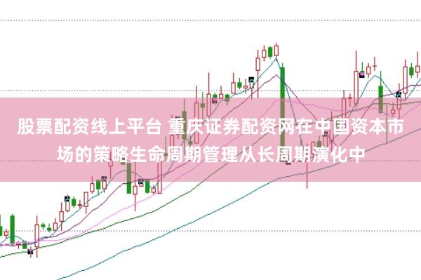 股票配资线上平台 重庆证券配资网在中国资本市场的策略生命周期管理从长周期演化中