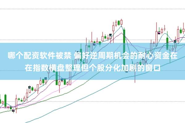 哪个配资软件被禁 偏好逆周期机会的耐心资金在在指数横盘整理但个股分化加剧的窗口
