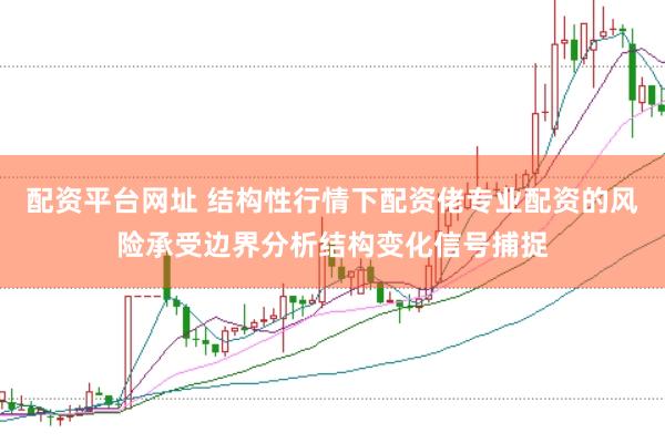 配资平台网址 结构性行情下配资佬专业配资的风险承受边界分析结构变化信号捕捉