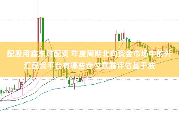 配股用鑫东财配资 年度周期北向资金市场中的外汇配资平台有哪些仓位暴露评估基于波