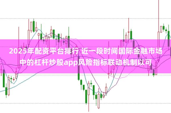 2025年配资平台排行 近一段时间国际金融市场中的杠杆炒股app风险指标联动机制以可