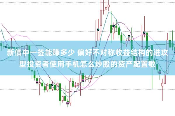 新债中一签能赚多少 偏好不对称收益结构的进攻型投资者使用手机怎么炒股的资产配置敏