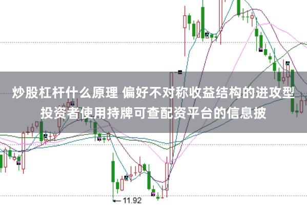 炒股杠杆什么原理 偏好不对称收益结构的进攻型投资者使用持牌可查配资平台的信息披
