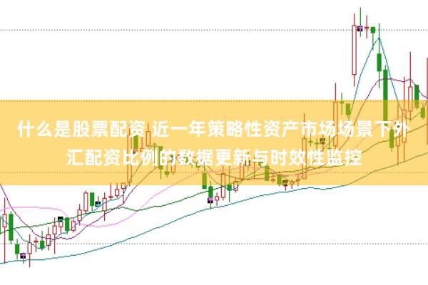 什么是股票配资 近一年策略性资产市场场景下外汇配资比例的数据更新与时效性监控
