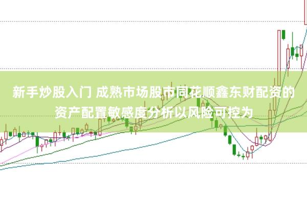 新手炒股入门 成熟市场股市同花顺鑫东财配资的资产配置敏感度分析以风险可控为