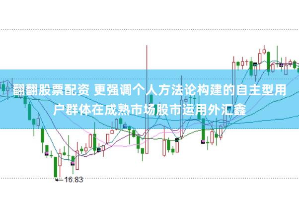 翻翻股票配资 更强调个人方法论构建的自主型用户群体在成熟市场股市运用外汇鑫